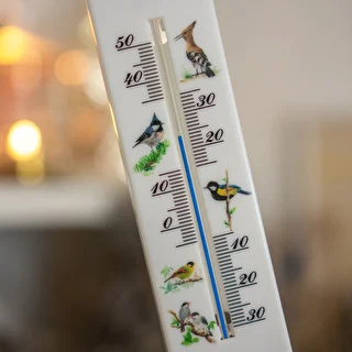 Universaalne termomeeter kujundusega - linnud (-30°C kuni +50°C) 20 cm – photo 4