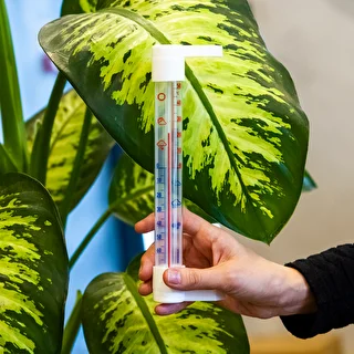 Välistermomeeter läbipaistva skaalaga (-70°C kuni +50°C) 23cm mix – photo 3