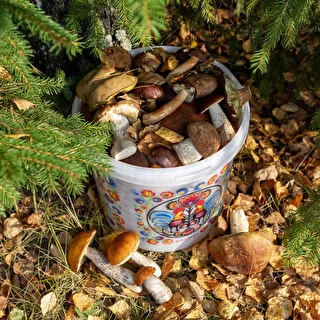 Toidukindel ämber GWIOZDA - kaanega, 10 L – photo 10