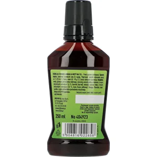 VLEYTO Münt & Õun – maitseessents looduslike aroomidega, 250 ml – photo 2