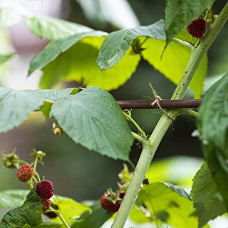 Džuudinöör 1,5 mm/100 m/100 g – photo 9