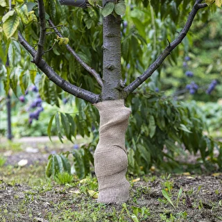 Džuudikangas 20 cm / 5 m – photo 5