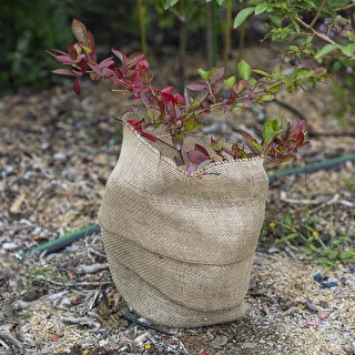 Džuudikangas 20 cm / 5 m – photo 6