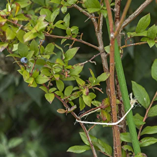 Sisalnöör 1,8 mm/115 m/250 g – photo 8