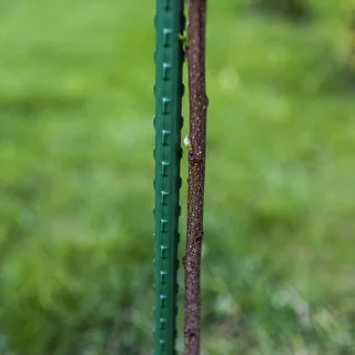 PE-kattega terasest taimekepp 1,25m x 11mm – photo 3