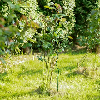 Spiraalne terasest taimekepp 1 m x 6 mm – photo 3