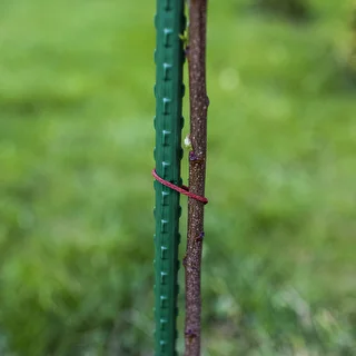 Bioogród aiatugikepid – kaetud terasest, 0,75 m, Ø 8 mm, 10 tk – photo 6