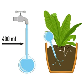 Taimede kastmiskuulid, läbipaistvad merevaigutooni, 400 ml, 4 tk. – photo 4