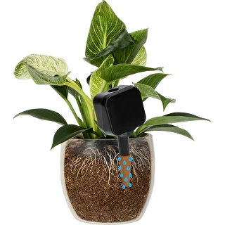 Taimede niisutaja – must tahvlikujuline silt keraamilise jalakesega, 200 ml – photo 6