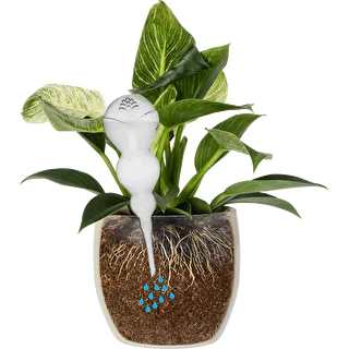 Kastmiskera, kolmekambriline, läbipaistev, värvitu, 600 ml – photo 3