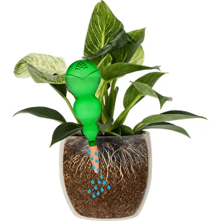 Kastmiskera, kolmekambriline, läbipaistev roheline, keraamilise otsikuga, 600ml – photo 3