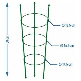 Rõngastikuga taimetugi, 3 rõngast, 0,5 m – photo 2
