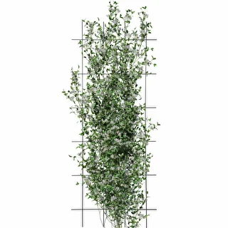 Taimetugi - võre (150 cm x 60 cm) 3 tk – photo 3