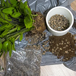Kergkruus potitaimedele, aianduseks ja klaasmetsadele, 10–20 mm, 4L – photo 10