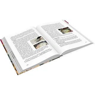 Raamat "Szynkowar - Kulinaarsete võimaluste meister, Retseptid" (raamat poola keeles)" – photo 3