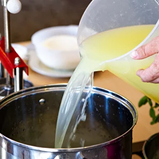 Kaltsiumkloriid juustu jaoks - 100 g – photo 10