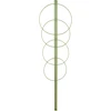 Rõngastikuga taimetugi, 4 rõngaga, 1 m - 13 