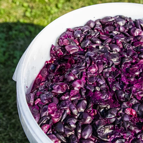 30 L käärimisnõu kaanega - laiendatud komplekt: 2 käärituslukku, 2 korki, kraan, EN - 18