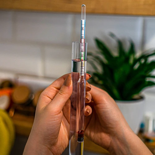 Alkoholomeeter purunemiskindlas proovitorus - 6