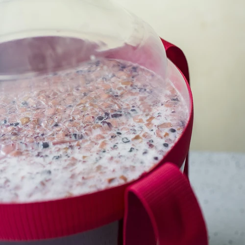 Bayanus-pärm + pärmi toiteaine - Universaalne - 21%, 17 g - 11