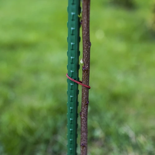 Bioogród aiatugikepid – kaetud terasest, 1,8 m, Ø 11 mm, 10 tk. - 5