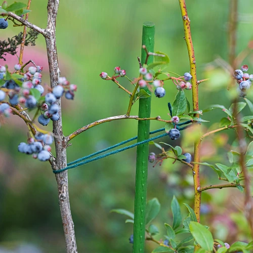 Bioogród taimekepid – kaetud terasest, 0,9 m, Ø 8 mm, 10 tk. - 5