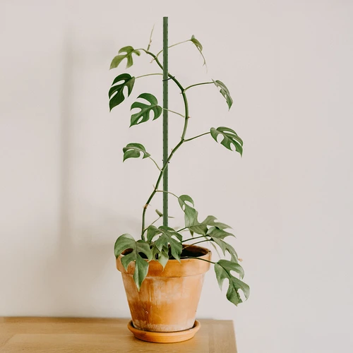 Bioogród taimekepid – kaetud terasest, 0,9 m, Ø 8 mm, 10 tk. - 4