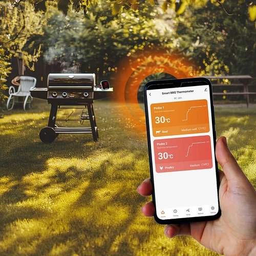 Bluetoothiga köögitermomeeter, 2 sondiga - 12