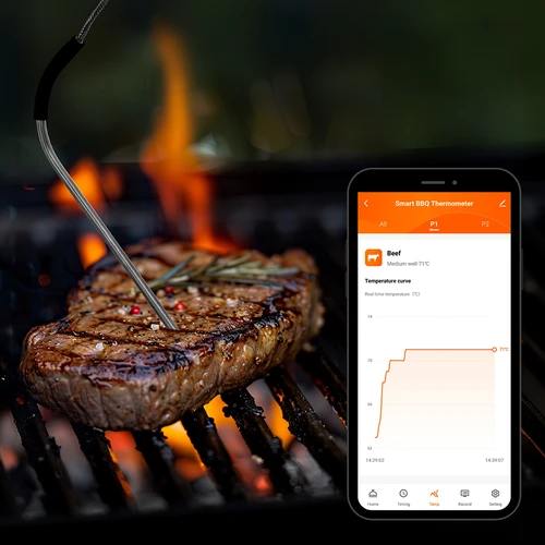 Bluetoothiga köögitermomeeter, 2 sondiga - 13