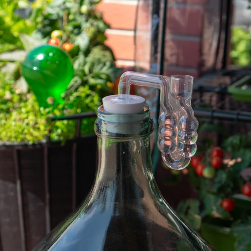 Damidžaani kork fi 43 mm, sulguriga - 5