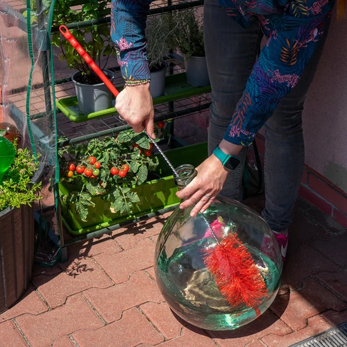 Damidžaanide pesuhari - väike - 3