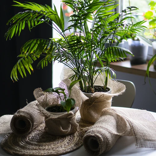 Džuudikangas 20 cm / 5 m - 11