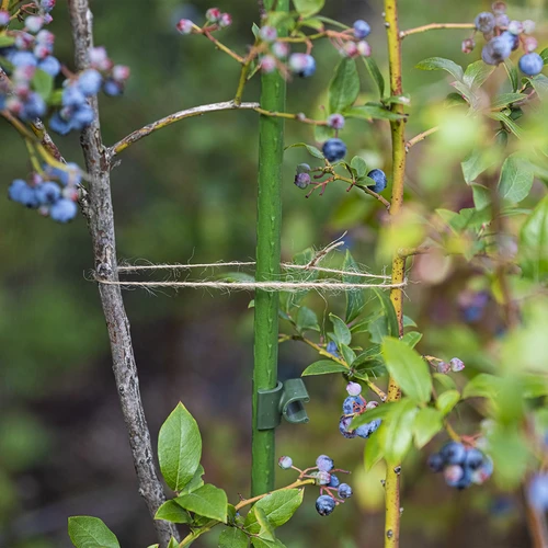Džuudinöör 1,5 mm/100 m/100 g - 7