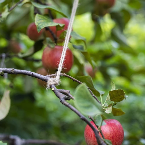 Džuudinöör 2 mm/235 m/500 g - 8