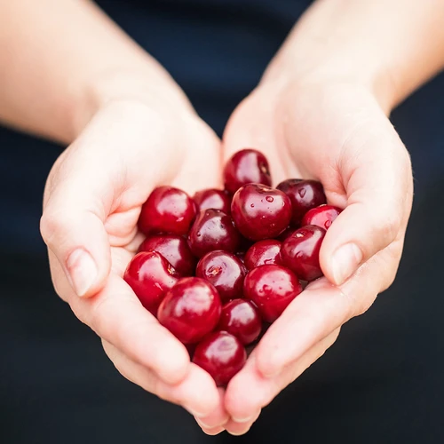 Hapu- ja maguskirsside kivieemaldaja (kilepakendis) - 7