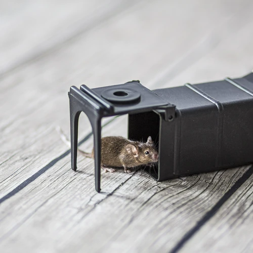 Hiirelõks – eluspüügilõks - 8