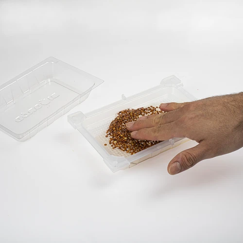 Idandaja Zielona Czuprynka koos redise seemnetega - 6