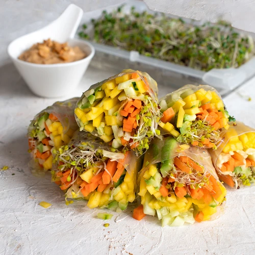 Idandaja Zielona Czuprynka koos redise seemnetega - 12