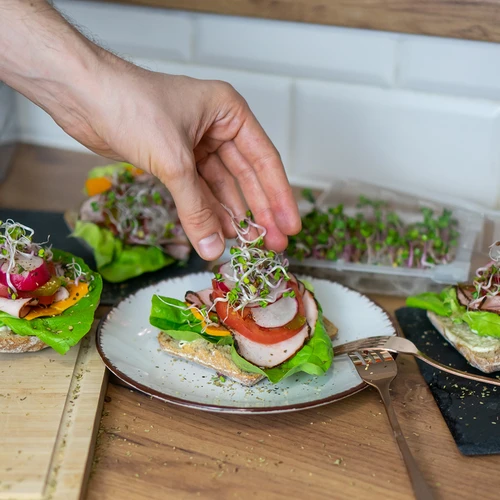 Idandaja Zielona Czuprynka koos redise seemnetega - 11