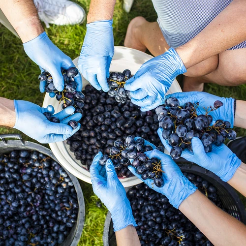 Käärimisnõu kaanega 30 L - 17