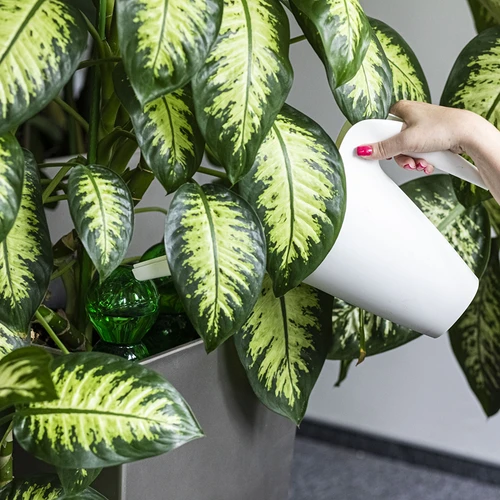 Kastmiskera, kolmekambriline, läbipaistev roheline, keraamilise otsikuga, 600ml - 6