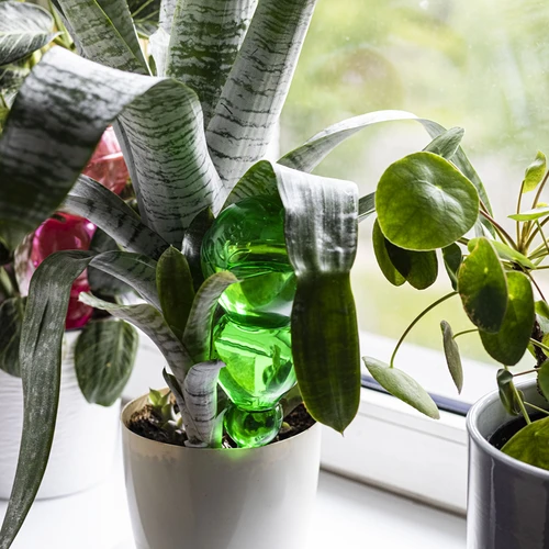 Kastmiskera, kolmekambriline, läbipaistev roheline, keraamilise otsikuga, 600ml - 8