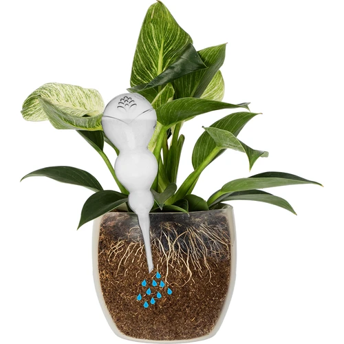 Kastmiskera, kolmekambriline, läbipaistev, värvitu, 600 ml - 3