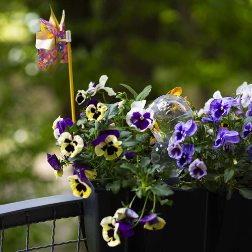 Kastmiskera, kolmekambriline, läbipaistev, värvitu, 600 ml - 9