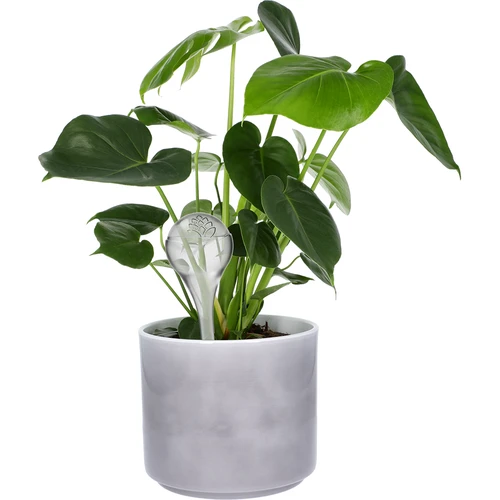 Kastmiskerad, läbipaistvad, 400 ml, 4 tk. - 6