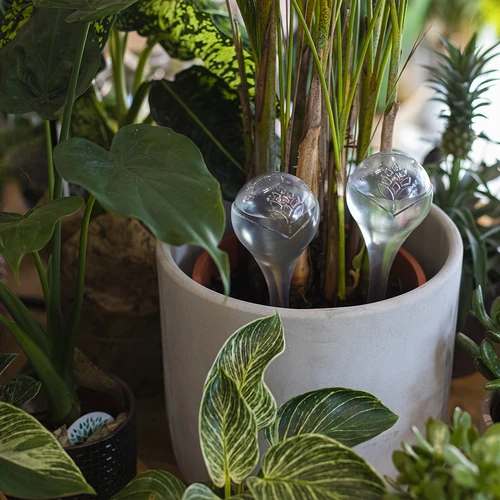 Kastmiskerad, läbipaistvad, 400 ml, 4 tk. - 8