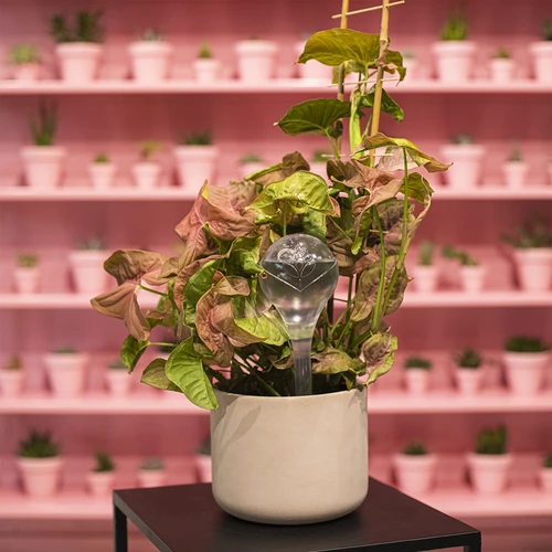 Kastmiskerad, läbipaistvad, 400 ml, 4 tk. - 12