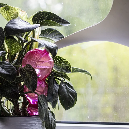 Kastmispall, kolmekordne (kolmekambriline), läbipaistev roosa, 600 ml - 6