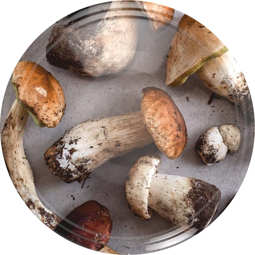 Keeratav purgikaas fi 82/6 Seened 2 - 10 tk