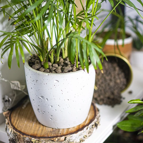 Kergkruus potitaimedele, aianduseks ja klaasmetsadele, 10–20 mm, 4L - 11